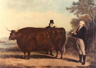 The pioneering agriculturalist Robert Bakewell tempts his prize Longhorn  with a cake. | Cow paintings on canvas, Cow painting, 18th century paintings