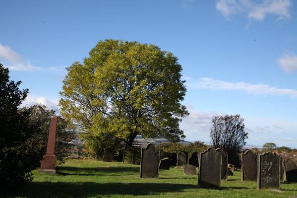 A cemetery with a tree and a blue sky

Description automatically generated