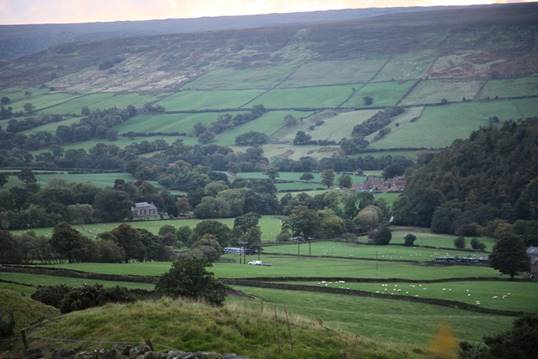 A green landscape with trees and a hill

Description automatically generated with medium confidence