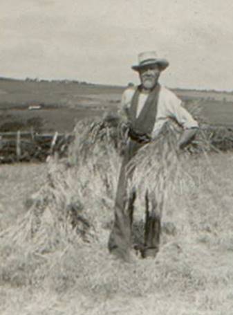 A person standing in a field holding a bundle of hay

Description automatically generated