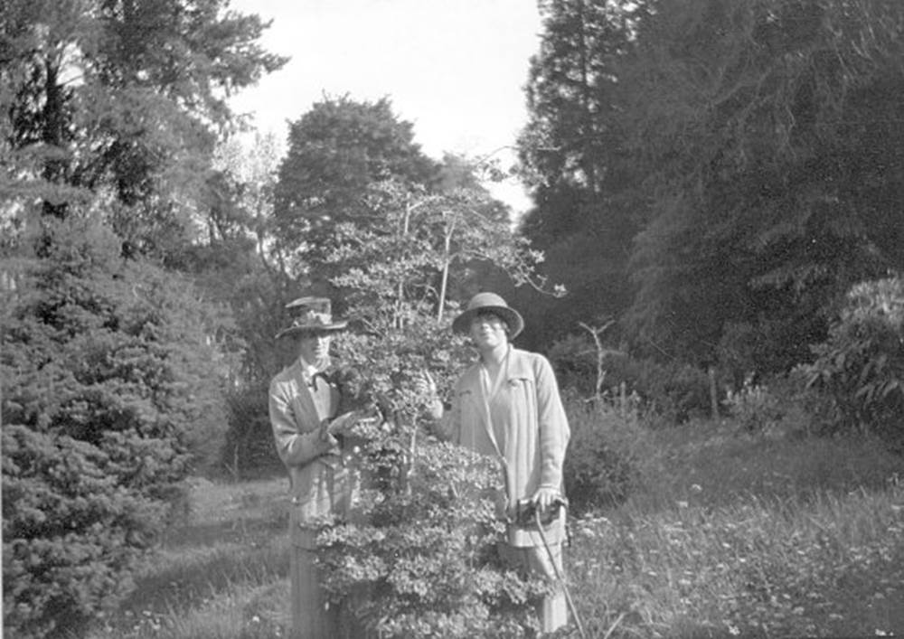 A couple of men standing in a garden

Description automatically generated