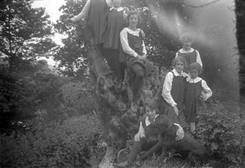 A group of women posing in a tree

Description automatically generated