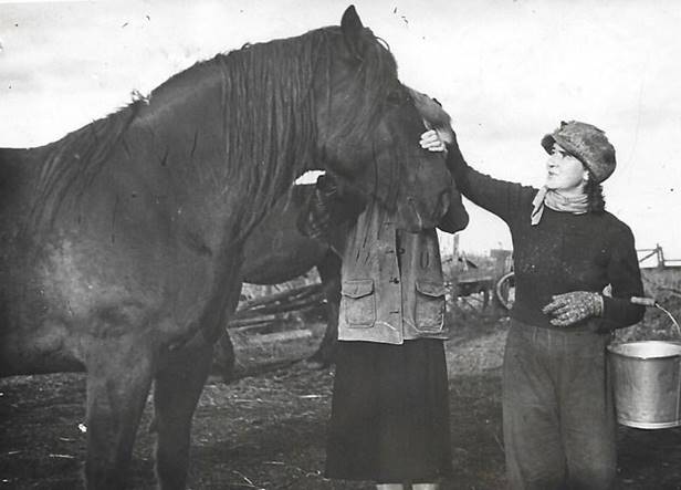 A horse and a person

Description automatically generated with medium confidence