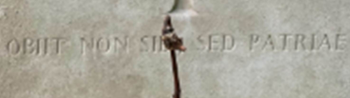 A screenshot of a computer

AI-generated content may be incorrect.