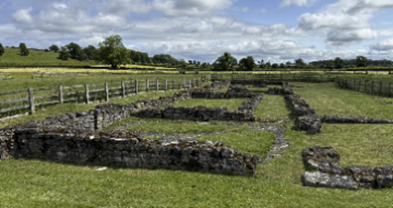 A stone wall in a field with Vindolanda in the background

AI-generated content may be incorrect.