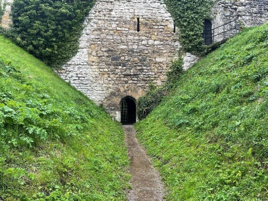 A path leading to a stone wall
Description automatically generated