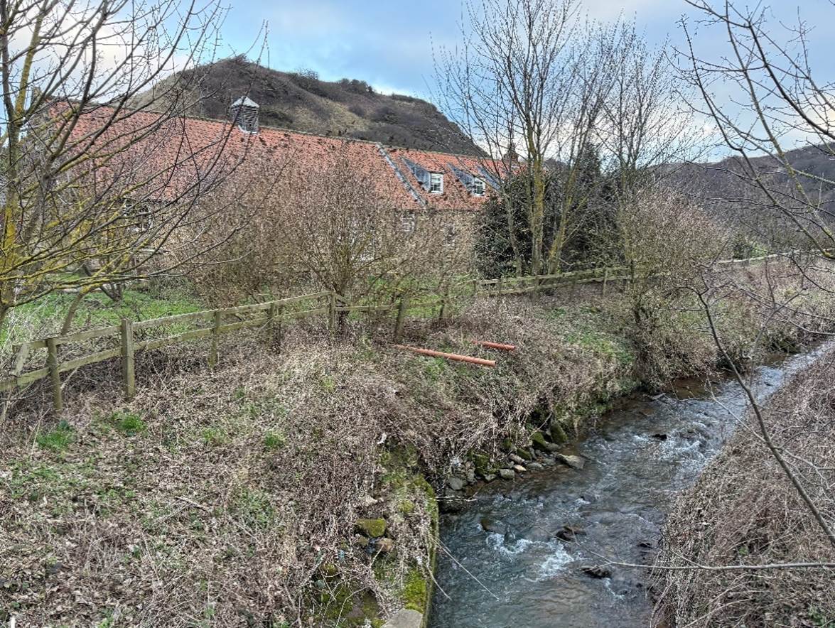 A stream running through a valley

AI-generated content may be incorrect.