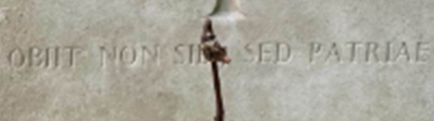 A screenshot of a computer

AI-generated content may be incorrect.