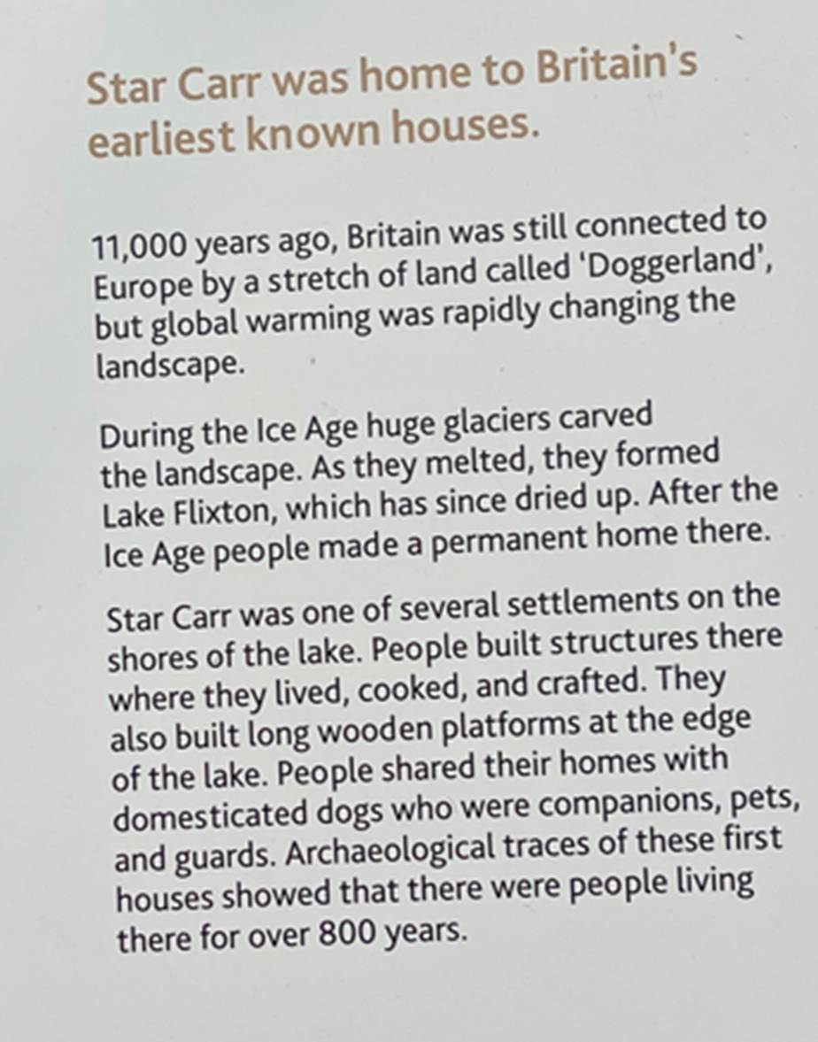A screenshot of a computer

Description automatically generated