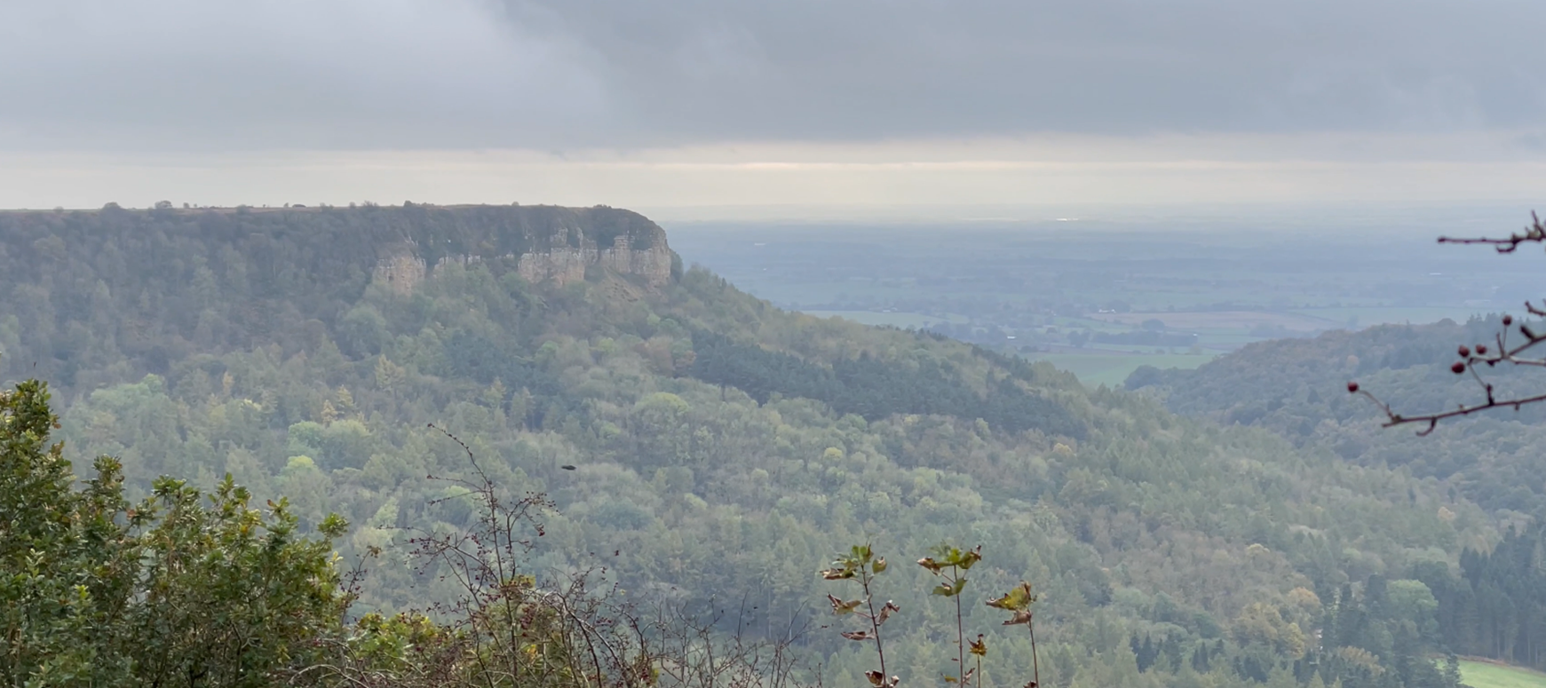 A mountain with trees and a cloudy sky
Description automatically generated