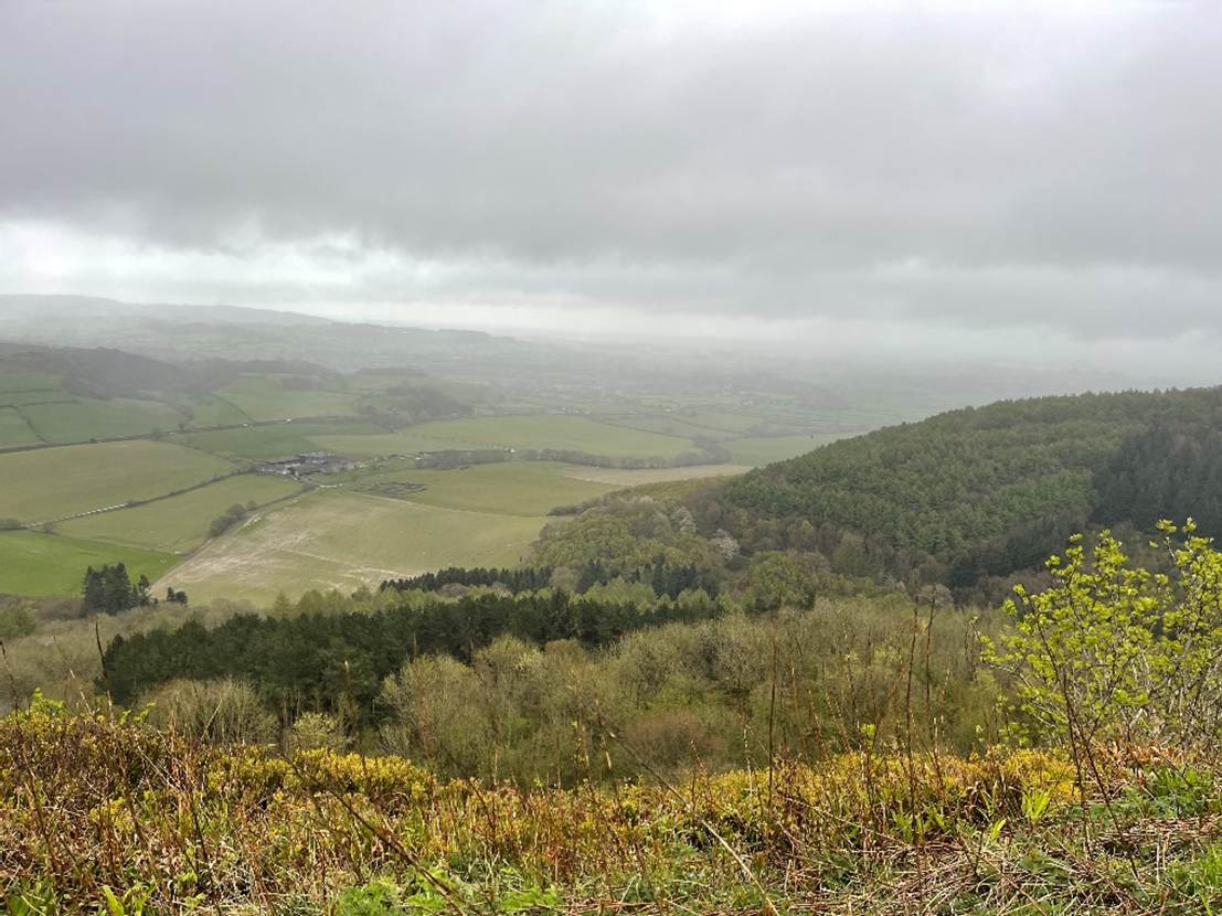 A landscape with trees and a valley
Description automatically generated