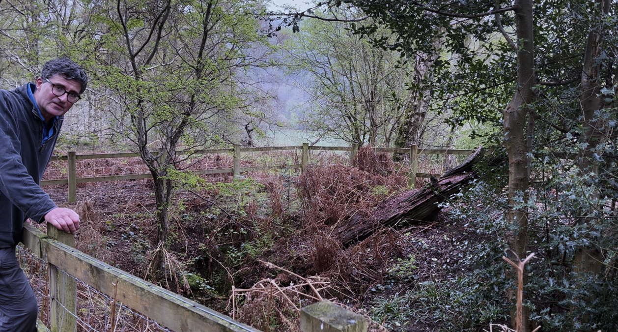 A fence and bushes in a forest

Description automatically generated