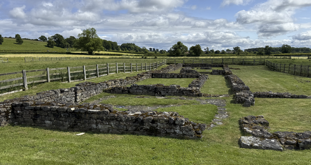 A stone wall in a field with Vindolanda in the background

AI-generated content may be incorrect.