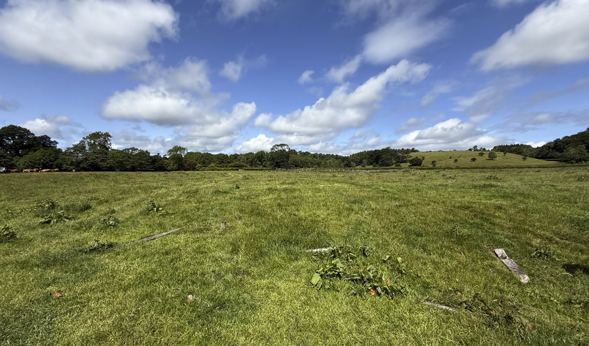 A field of grass and trees

AI-generated content may be incorrect.