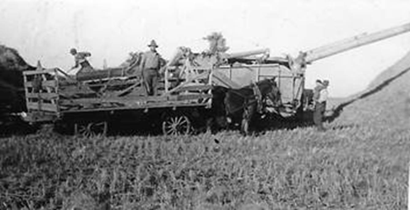 A person standing on a wagon

Description automatically generated