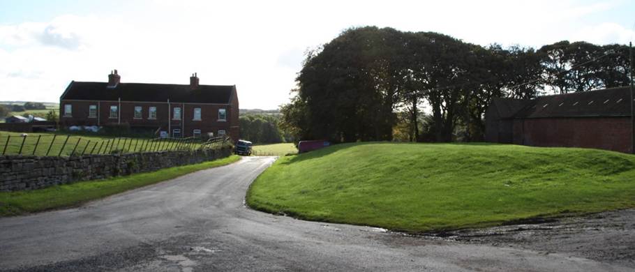 A road with a green field
Description automatically generated with medium confidence